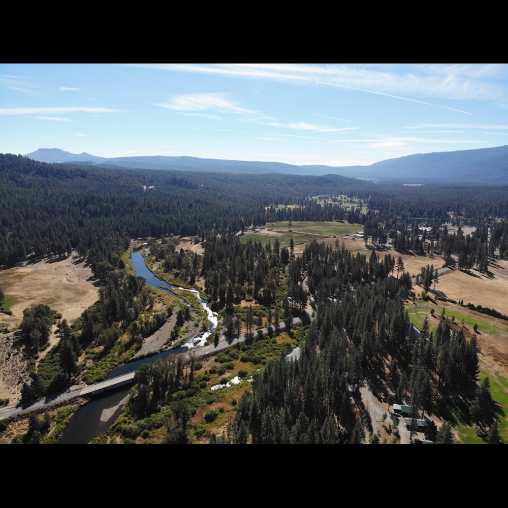 Meet your Posher, Brandt